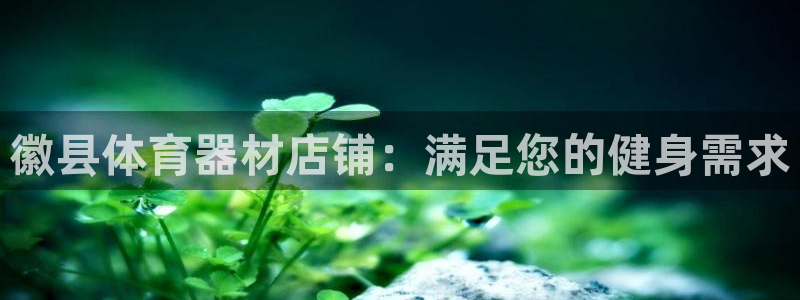 尊龙app下载官网