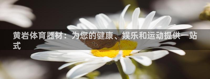 尊龙人生就是博电脑版