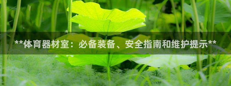 尊龙凯时品牌介绍