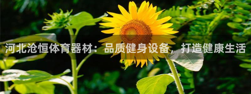 z6com尊龙凯时代理