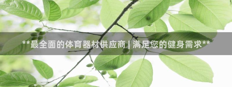 尊龙d88现金旧版本
