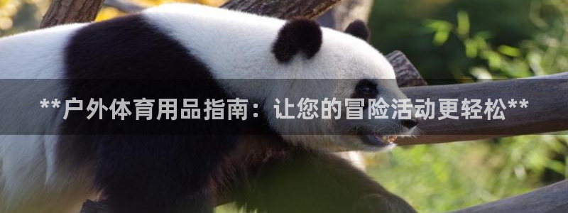 尊龙人生就是博d88 - Z6尊龙官方网站