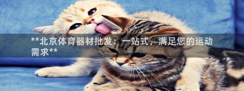 尊龙凯时的最新消息