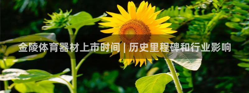 尊龙一人生就是博尊