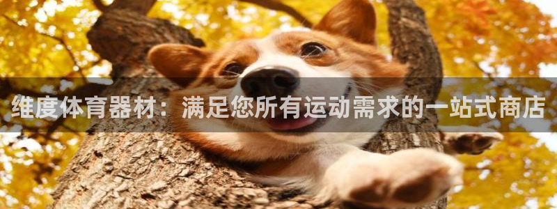 尊龙人生就是博客服