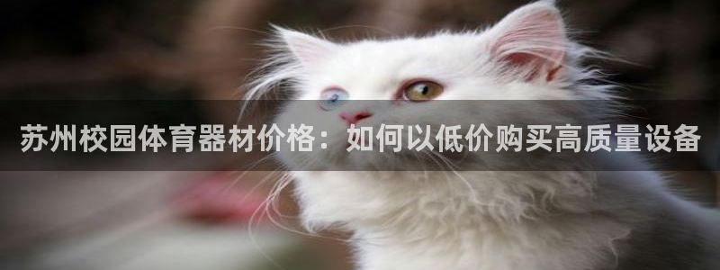 尊龙网址是多少