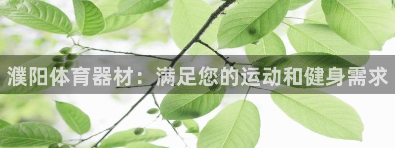 尊龙网址登录官网