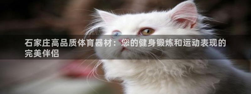 尊龙凯时平台还是万博好