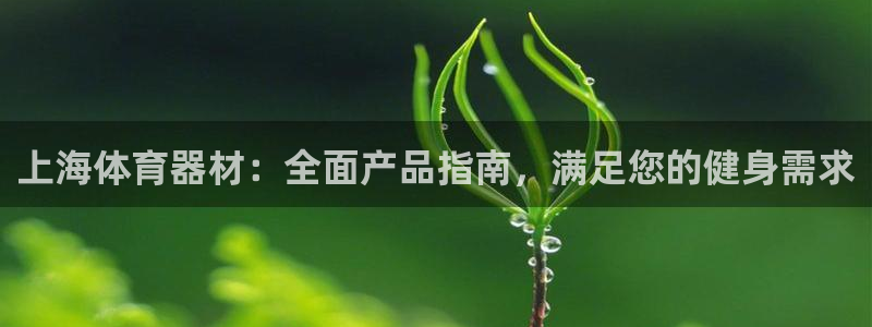 尊龙凯时有限公司