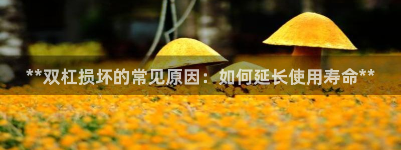 K66凯时国际平台官网