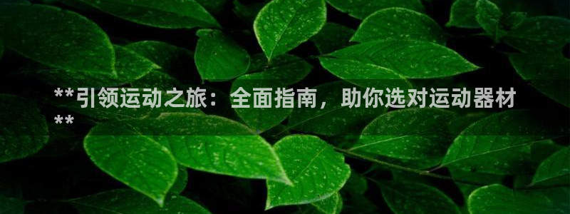 尊龙凯时投诉最狠的方法