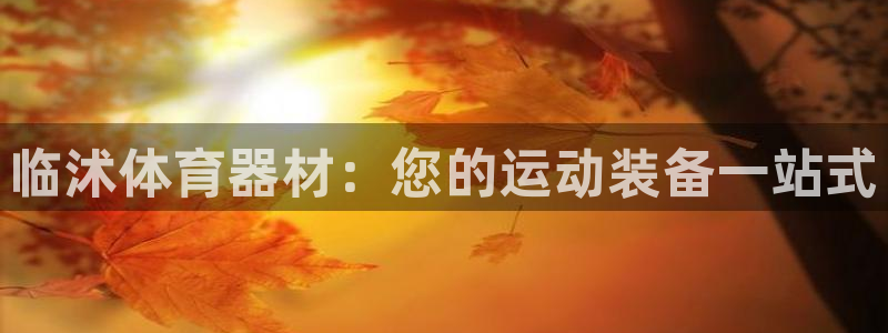 凯时平台app