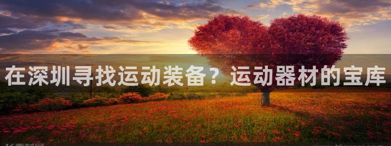 国际凯时ag优质运营商