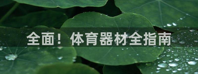 尊龙凯时是不是合法