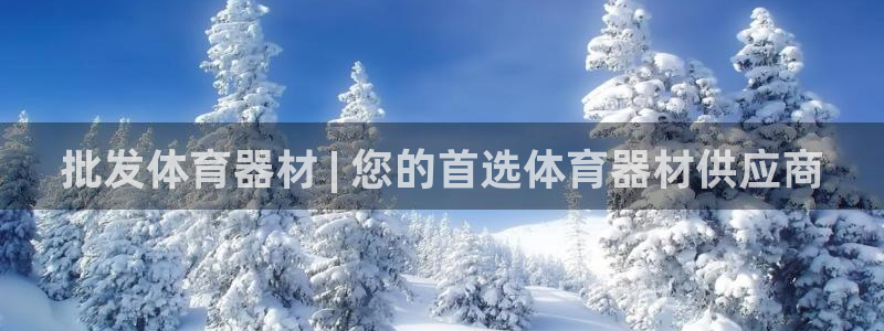 尊龙ag旗舰