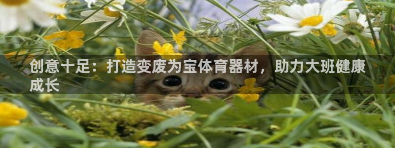 尊龙官方网站