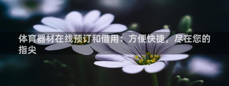 尊龙500价格