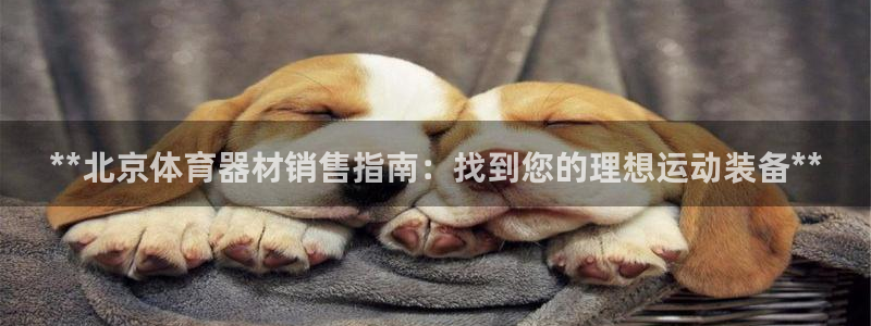尊龙凯时有假么