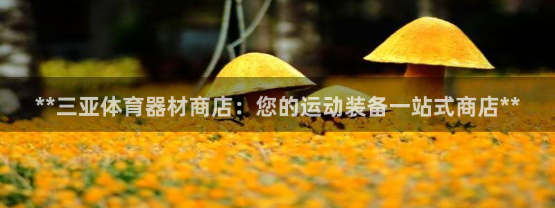 尊龙凯时白家乐