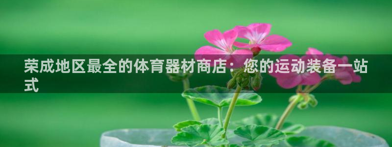 尊龙凯时代理能提出来不