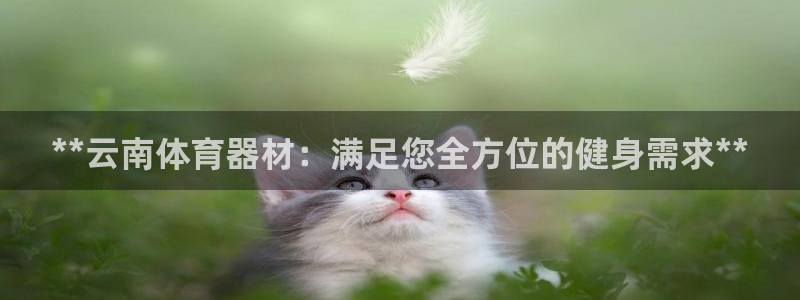 尊龙凯时网站不让提款