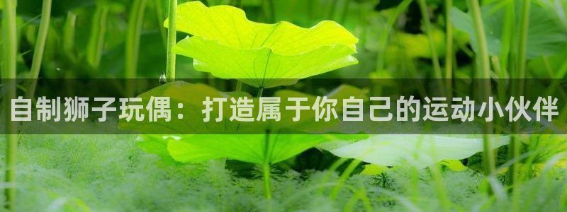 尊龙休闲e站怎么样