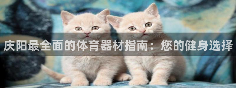 尊龙手机客户端下载APP