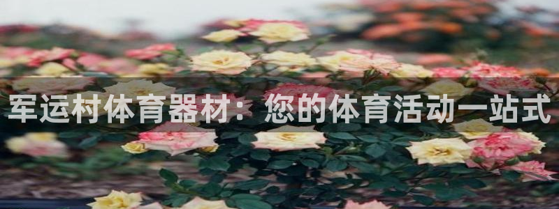 尊龙z6官网