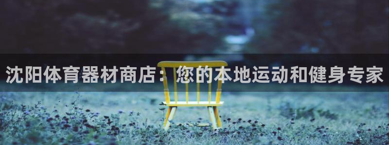 尊龙t500和t300区别