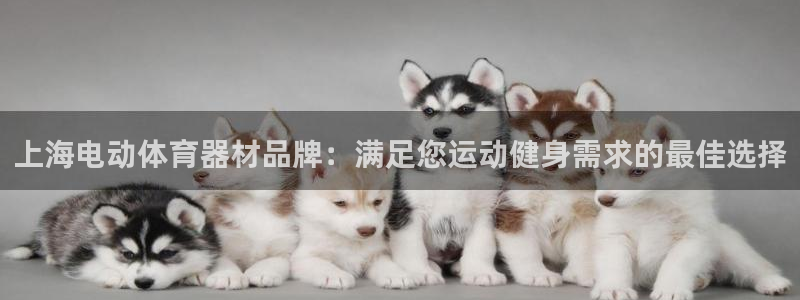尊龙网址是选访问zd207