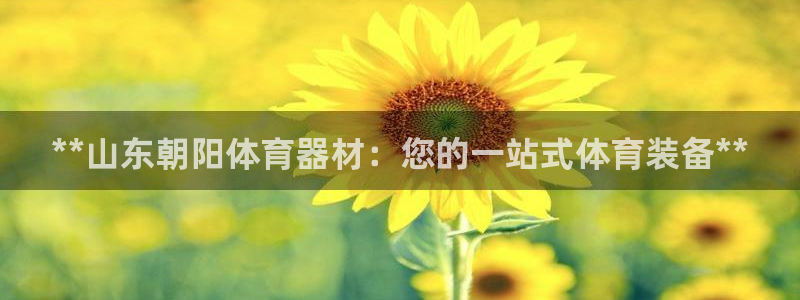 凯时K66最新版本下载