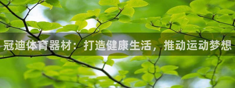 尊龙凯时 人生就是搏