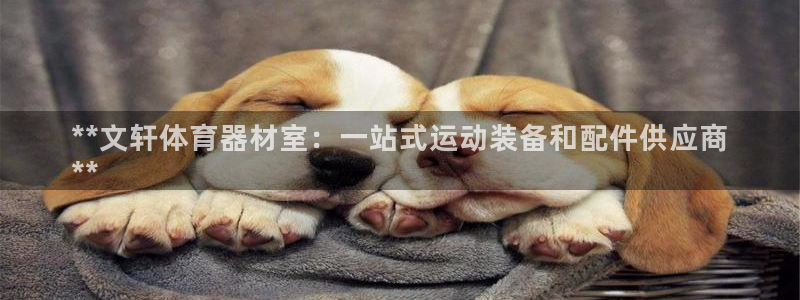 尊龙凯时怎么注册