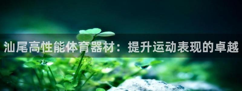 尊龙凯时的企业文化：汕尾高性能体育器材：提升运动表现的卓越