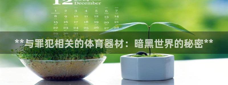 尊龙现金娱乐 下载