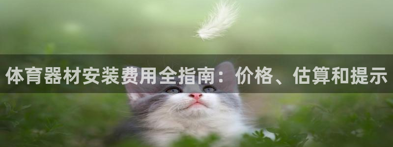 尊龙人生就是博旧版现金娱乐一下