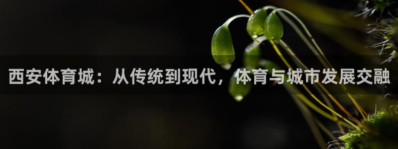尊龙人生就是博电脑版