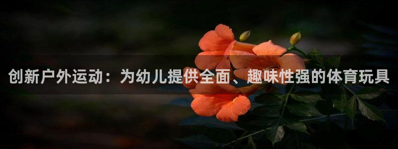 尊龙凯时充值不到账