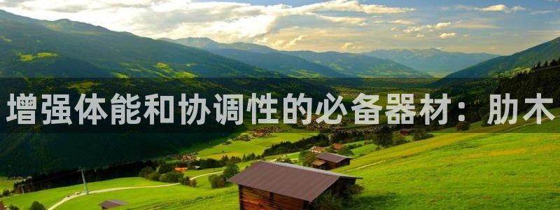 尊龙人生就是博旧版现金娱乐一下