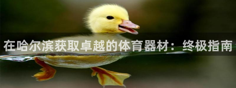 d88尊龙可靠送38元：在哈尔滨获取卓越的体育器材：终极指南