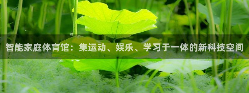 尊龙凯时平台怎么样