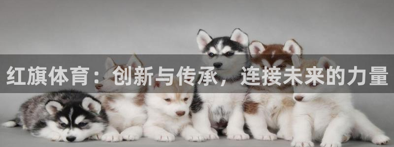 最新凯时官网网址