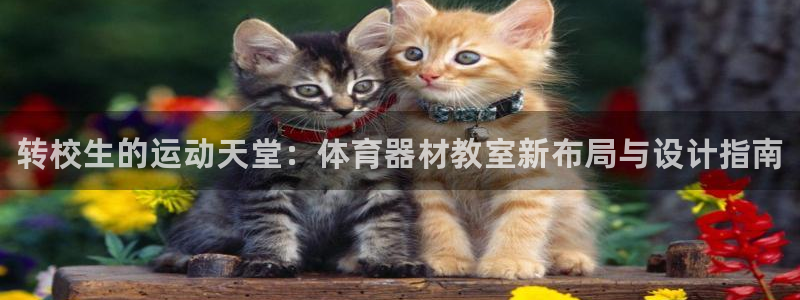 尊龙凯时官网正规吗：转校生的运动天堂：体育器材教室新布局与设